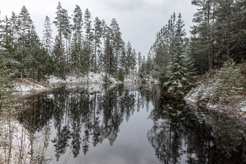 winter landscape with a lake, magical snow-covered trees and reflections in the lake, a gorgeous winter day