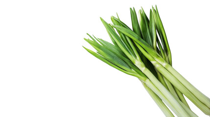 Fototapeta premium Fresh green onions arranged neatly for cooking or garnishing dishes in a kitchen setting