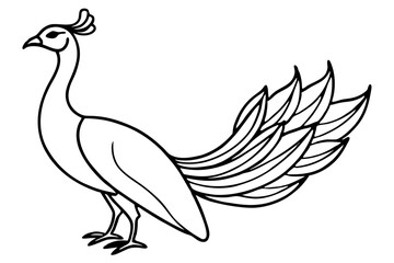 Minimalist Peacock Line Art