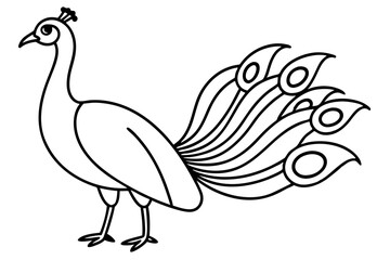 Minimalist Peacock Line Art