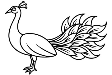 Minimalist Peacock Line Art