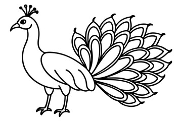 Minimalist Peacock Line Art