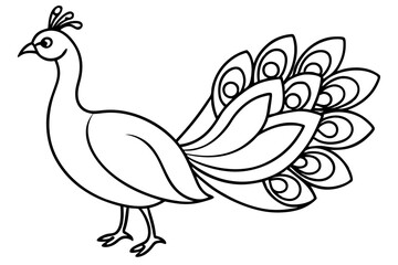 Minimalist Peacock Line Art