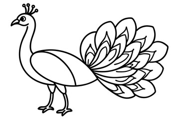Minimalist Peacock Line Art