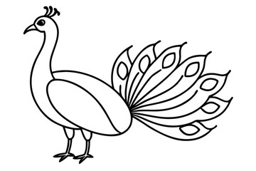 Minimalist Peacock Line Art