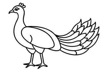 Minimalist Peacock Line Art