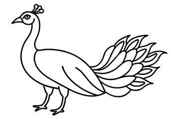 Minimalist Peacock Line Art