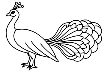 Minimalist Peacock Line Art