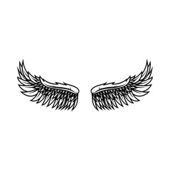 Heraldic wings for tattoo or mascot design