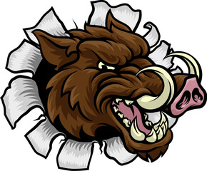 Obraz premium A wild boar, hog razorback warthog pig mean tough cartoon sports mascot