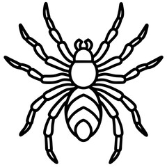 Minimalist Tarantula Vector