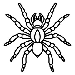 Minimalist Tarantula Vector