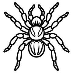 Minimalist Tarantula Vector