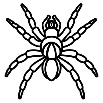 black spider outline clip art preview