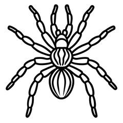 Obraz premium Minimalist Tarantula Vector