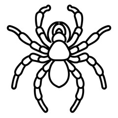 Minimalist Tarantula Vector
