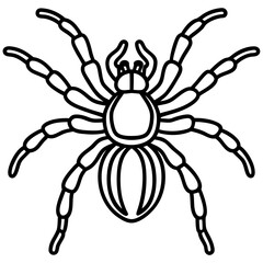Minimalist Tarantula Vector