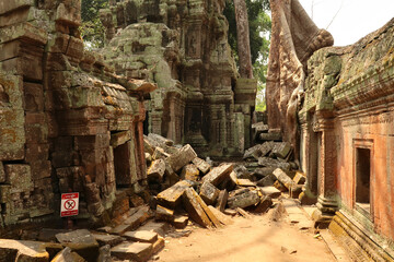 Inside the Ta Prohm Temple, small buildings are overgrown with red, green moss, lichens, stones, bricks between, a big tree growing on top, Angkor Wat, Siem Reap, Cambodia