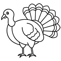 Minimalist Turkey Sketch