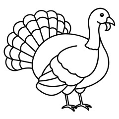 Minimalist Turkey Sketch