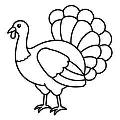 Minimalist Turkey Sketch
