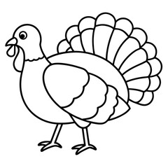 Minimalist Turkey Sketch