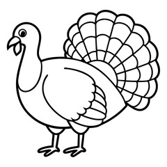 Minimalist Turkey Sketch
