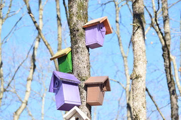 Bird Houses in Turkey