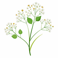 Naklejka premium wispy baby breath