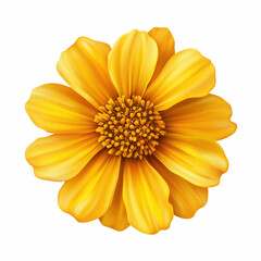 Obraz premium Realistic bright yellow daisy flower with vibrant petals and intricate central details, perfect for botanical and decorative designs, isolated on transparent background.