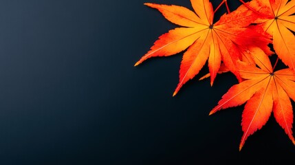 Vibrant autumn leaves in shades of orange and red set against a dark background, ideal for seasonal themes, nature projects, or as decorative elements in marketing materials,
