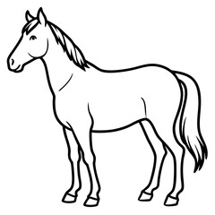 Modern Horse Line Sketch