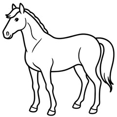 Modern Horse Line Sketch
