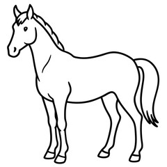 Fototapeta premium Modern Horse Line Sketch