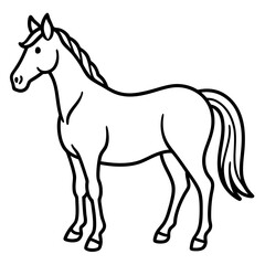 Modern Horse Line Sketch