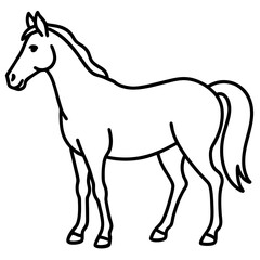 Modern Horse Line Sketch