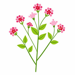 tiny verbena florets