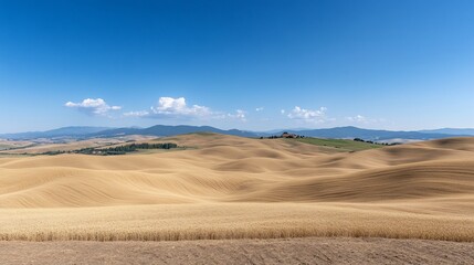 Fototapeta premium Tuscan Hills Landscape Golden Wheat Fields under a Sunny Sky