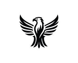 Fototapeta premium eagle vector illustration