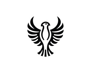 Obraz premium eagle with wings