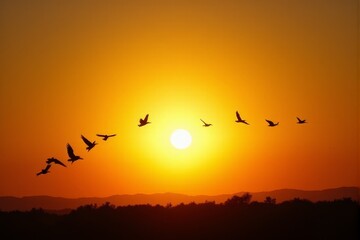 Obraz premium Silhouettes of birds in flight against a golden sunrise poetic and symbolic nature moment