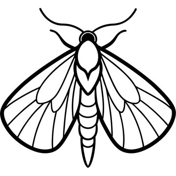 black and white moth outline clip art preview