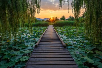 Obraz premium Wooden boardwalk over tranquil pond surrounded by greenery