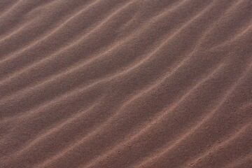 Sandriffeln in roten Wüstensand in der Namib