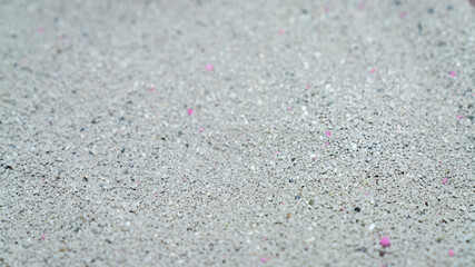 Cat litter granules close up. The texture of granular toilet filler. Cat litter in granules box....