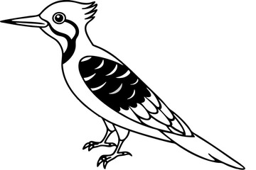 Woodpecker Line Illustration