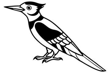 Woodpecker Line Illustration