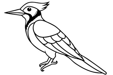 Woodpecker Line Illustration