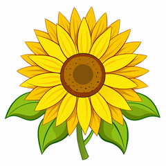 Fototapeta premium sunflower vector illustration