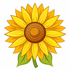 Fototapeta premium sunflower vector illustration